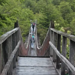 Reserva Nacional Magallanes - Punta Arenas