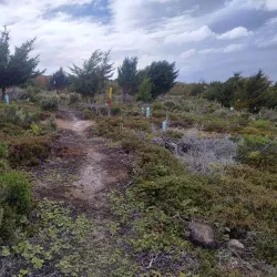 Reserva Nacional Magallanes - Punta Arenas