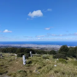 Reserva Nacional Magallanes - Punta Arenas