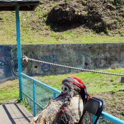 Feria Artesanal de Quellón - Quellón