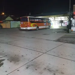 Mercado Municipal de Quellón - Quellón