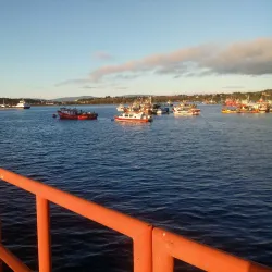 Mercado Municipal de Quellón - Quellón