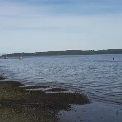 Mercado Municipal de Quellón - Quellón