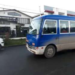 Mercado Municipal de Quellón - Quellón