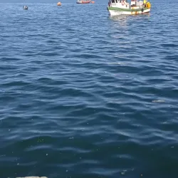 Puerto de Quellón - Quellón