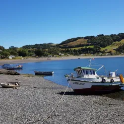 Reserva Natural Isla Chaullín - Quellón