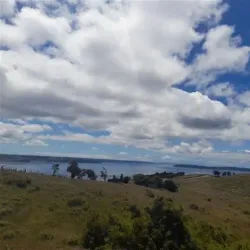 Reserva Natural Isla Chaullín - Quellón