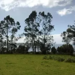 Reserva Natural Isla Chaullín - Quellón