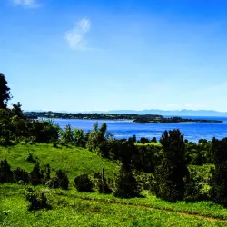 Reserva Natural Isla Chaullín - Quellón