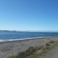 Reserva Natural Isla Chaullín - Quellón