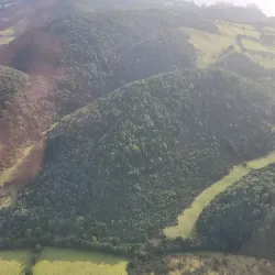 Reserva Natural Isla Chaullín - Quellón