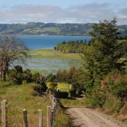 Reserva Natural Isla Chaullín - Quellón