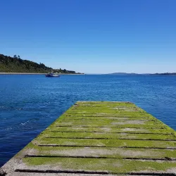 Reserva Natural Isla Chaullín - Quellón