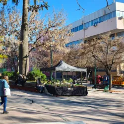 Monumento a la Batalla de Rancagua - Rancagua