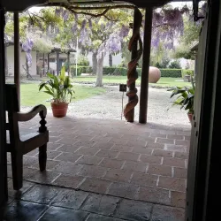 Museo Regional de Rancagua - Rancagua