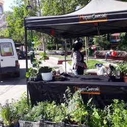Plaza de los Héroes - Rancagua
