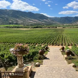 Viña Santa Cruz - Rancagua