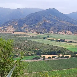 Viña Santa Cruz - Rancagua