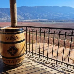 Viña Santa Cruz - Rancagua