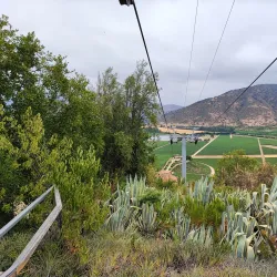 Viña Santa Cruz - Rancagua