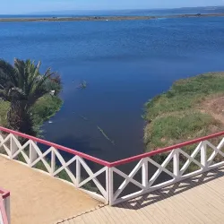 Bird Watching - San Antonio de Petrel