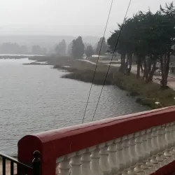 Bird Watching - San Antonio de Petrel