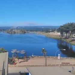 Bird Watching - San Antonio de Petrel