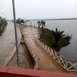 Bird Watching - San Antonio de Petrel