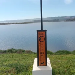 Bird Watching - San Antonio de Petrel