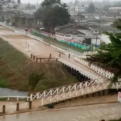 Bird Watching - San Antonio de Petrel
