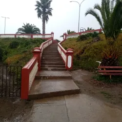 Bird Watching - San Antonio de Petrel