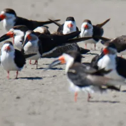 Countryside Hiking Trails - San Antonio de Petrel