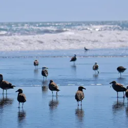 Countryside Hiking Trails - San Antonio de Petrel