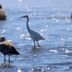 Countryside Hiking Trails - San Antonio de Petrel