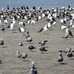 Countryside Hiking Trails - San Antonio de Petrel