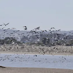 Countryside Hiking Trails - San Antonio de Petrel