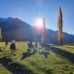 Horseback Riding Tours - San Antonio de Petrel