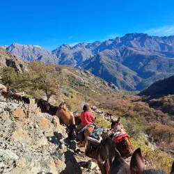 Horseback Riding Tours - San Antonio de Petrel