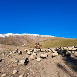 Horseback Riding Tours - San Antonio de Petrel