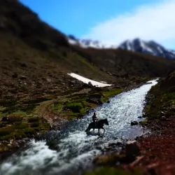 Horseback Riding Tours - San Antonio de Petrel