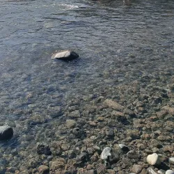 Horseback Riding Tours - San Antonio de Petrel