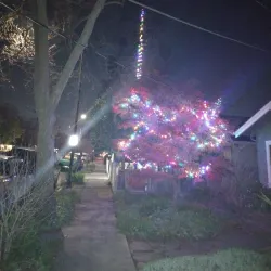 Local Artisan Markets - San Antonio de Petrel