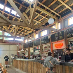 Local Cuisine Experiences - San Antonio de Petrel