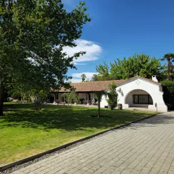 Local Vineyards and Wineries - San Antonio de Petrel