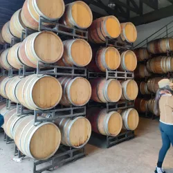 Local Vineyards and Wineries - San Antonio de Petrel