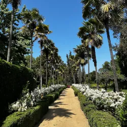 Local Vineyards and Wineries - San Antonio de Petrel