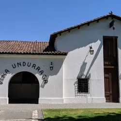 Local Vineyards and Wineries - San Antonio de Petrel