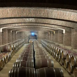 Local Vineyards and Wineries - San Antonio de Petrel