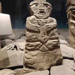 Local Vineyards and Wineries - San Antonio de Petrel