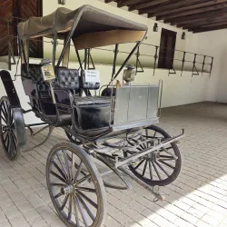 Local Vineyards and Wineries - San Antonio de Petrel